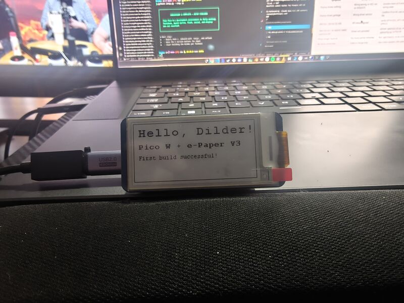 Hello, Dilder! running on the e-ink display — proof of life